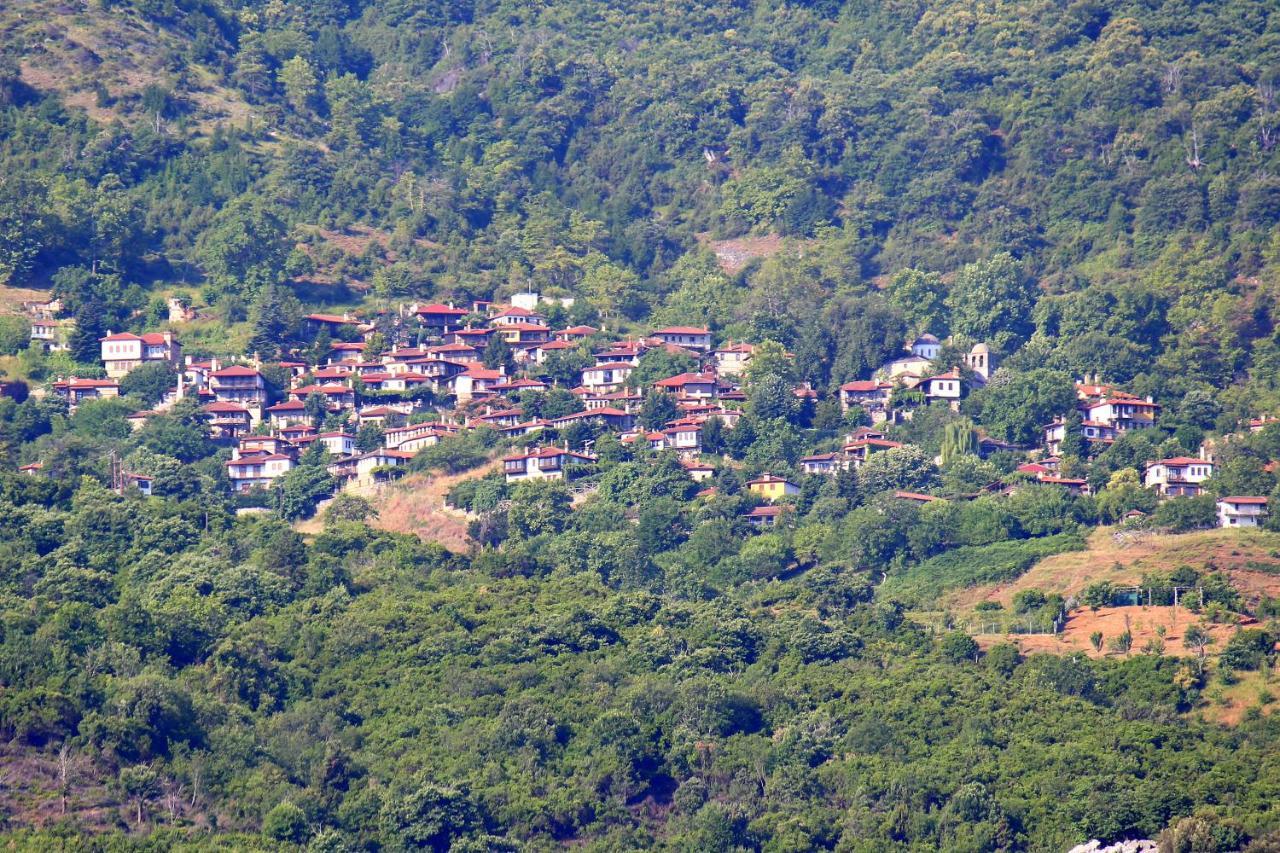 Ktima Garas Paralia Panteleimonos Exterior foto